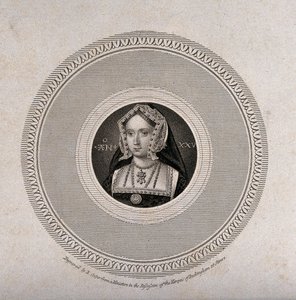 Regina d
